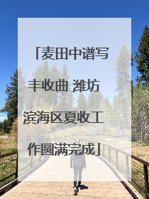 麦田中谱写丰收曲 潍坊滨海区夏收工作圆满完成