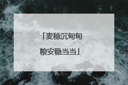麦穗沉甸甸 粮安稳当当