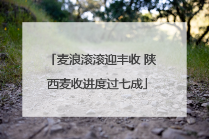 麦浪滚滚迎丰收 陕西麦收进度过七成