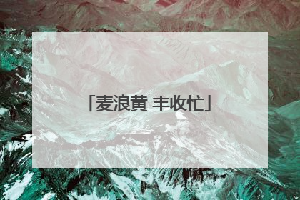 麦浪黄 丰收忙