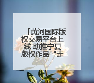 黄河国际版权交易平台上线 助推宁夏版权作品“走出去”