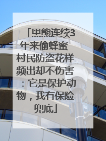 黑熊连续3年来偷蜂蜜 村民防盗花样频出却不伤害：它是保护动物，我有保险兜底