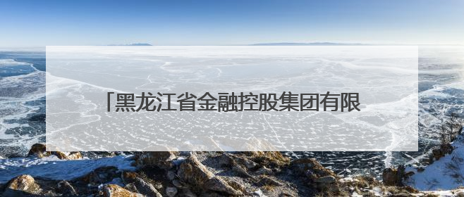 黑龙江省金融控股集团有限公司原党委书记、董事长于宏接受纪律审查和监察调查