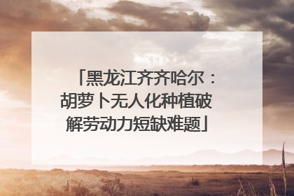 黑龙江齐齐哈尔：胡萝卜无人化种植破解劳动力短缺难题