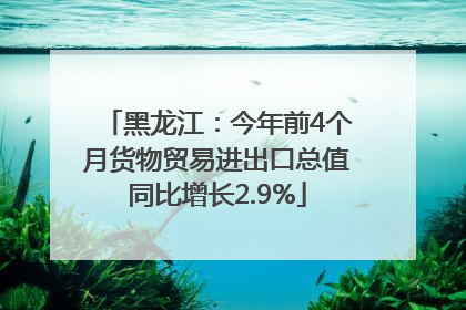 黑龙江：今年前4个月货物贸易进出口总值同比增长2.9%
