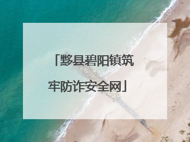 黟县碧阳镇筑牢防诈安全网