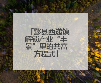 黟县西递镇解锁产业“丰景”里的共富方程式