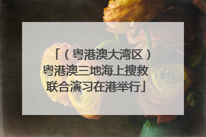 （粤港澳大湾区）粤港澳三地海上搜救联合演习在港举行