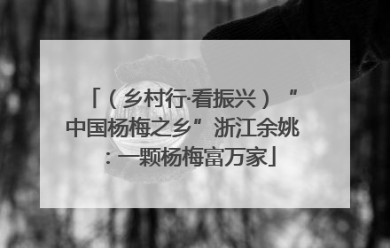 （乡村行·看振兴）“中国杨梅之乡”浙江余姚：一颗杨梅富万家