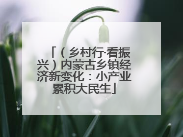 （乡村行·看振兴）内蒙古乡镇经济新变化：小产业累积大民生