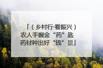 （乡村行·看振兴）农人手握金“药”匙 药材种出好“钱”景
