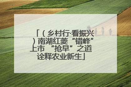 （乡村行·看振兴）南湖红菱“错峰”上市 “抢早”之道诠释农业新生