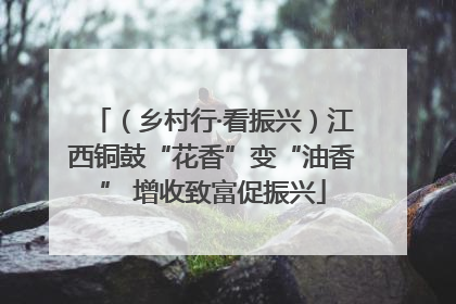 （乡村行·看振兴）江西铜鼓“花香”变“油香” 增收致富促振兴