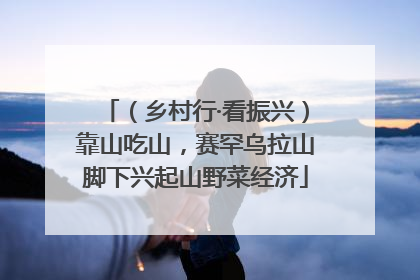 （乡村行·看振兴）靠山吃山，赛罕乌拉山脚下兴起山野菜经济