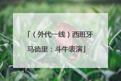 （外代一线）西班牙马德里：斗牛表演