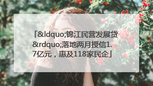 “锦江民营发展贷”落地两月授信1.7亿元，惠及118家民企