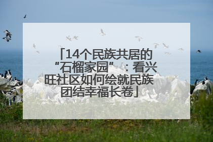 14个民族共居的“石榴家园”：看兴旺社区如何绘就民族团结幸福长卷
