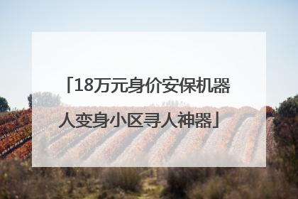 18万元身价安保机器人变身小区寻人神器