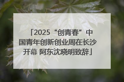 2025“创青春”中国青年创新创业周在长沙开幕 阿东沈晓明致辞