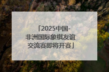 2025中国-非洲国际象棋友谊交流赛即将开赛