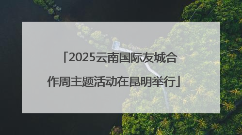 2025云南国际友城合作周主题活动在昆明举行