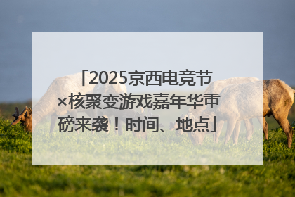 2025京西电竞节×核聚变游戏嘉年华重磅来袭！时间、地点