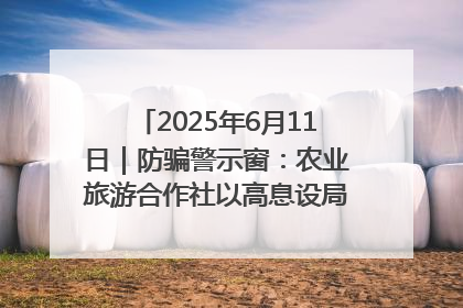 2025年6月11日｜防骗警示窗：农业旅游合作社以高息设局，集资380万