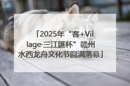 2025年“客+Village·三江匯杯”赣州水西龙舟文化节圆满落幕