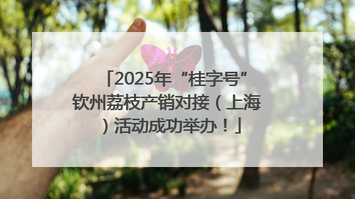 2025年“桂字号”钦州荔枝产销对接（上海）活动成功举办！