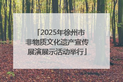 2025年徐州市非物质文化遗产宣传展演展示活动举行