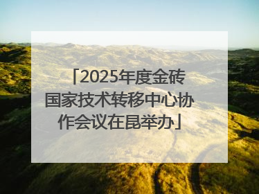 2025年度金砖国家技术转移中心协作会议在昆举办