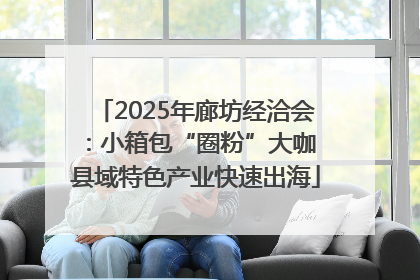 2025年廊坊经洽会：小箱包“圈粉”大咖 县域特色产业快速出海