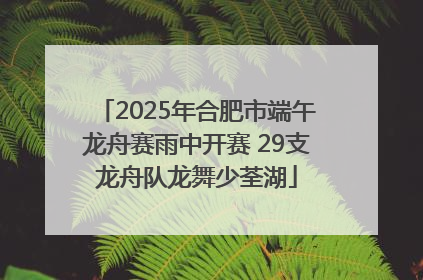 2025年合肥市端午龙舟赛雨中开赛 29支龙舟队龙舞少荃湖