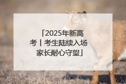 2025年新高考丨考生陆续入场 家长耐心守望