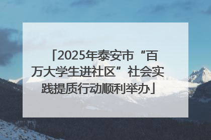 2025年泰安市“百万大学生进社区”社会实践提质行动顺利举办