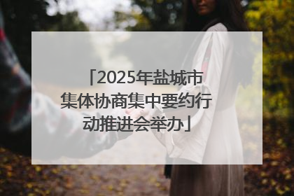2025年盐城市集体协商集中要约行动推进会举办