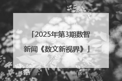 2025年第3期数智新闻《数文新视界》