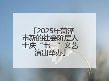 2025年菏泽市新的社会阶层人士庆“七一”文艺演出举办