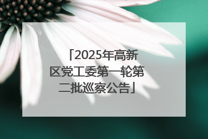 2025年高新区党工委第一轮第二批巡察公告