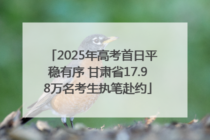 2025年高考首日平稳有序 甘肃省17.98万名考生执笔赴约