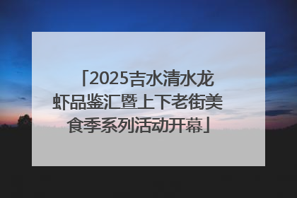 2025吉水清水龙虾品鉴汇暨上下老街美食季系列活动开幕
