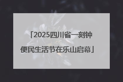 2025四川省一刻钟便民生活节在乐山启幕