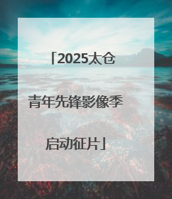 2025太仓青年先锋影像季启动征片