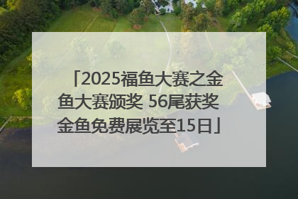 2025福鱼大赛之金鱼大赛颁奖 56尾获奖金鱼免费展览至15日