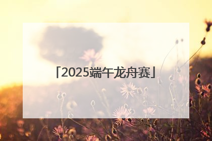 2025端午龙舟赛