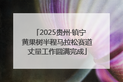 2025贵州·镇宁黄果树半程马拉松赛道丈量工作圆满完成