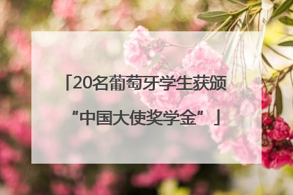 20名葡萄牙学生获颁“中国大使奖学金”