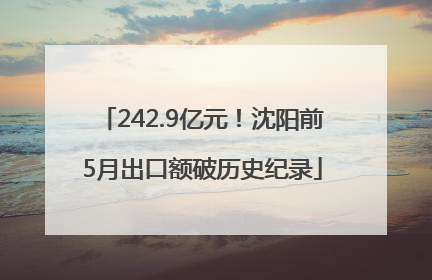 242.9亿元！沈阳前5月出口额破历史纪录