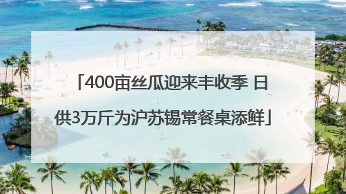 400亩丝瓜迎来丰收季 日供3万斤为沪苏锡常餐桌添鲜