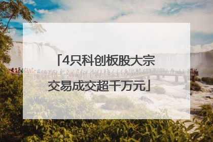 4只科创板股大宗交易成交超千万元